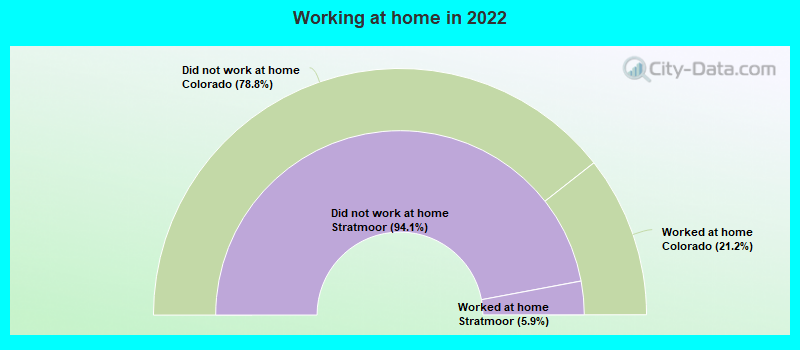 Working at home in 2022