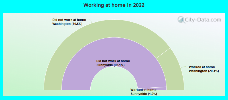 Working at home in 2022