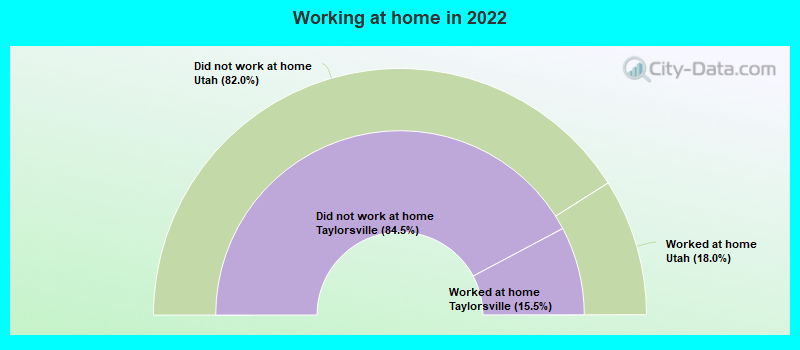 Working at home in 2022