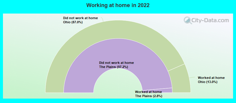 Working at home in 2022