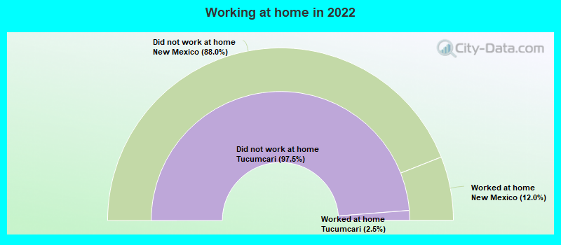 Working at home in 2022