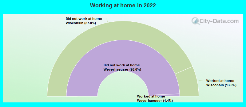 Working at home in 2022