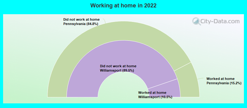 Working at home in 2022