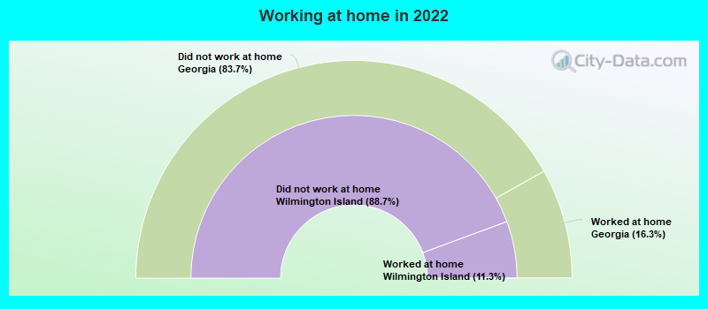 Working at home in 2022