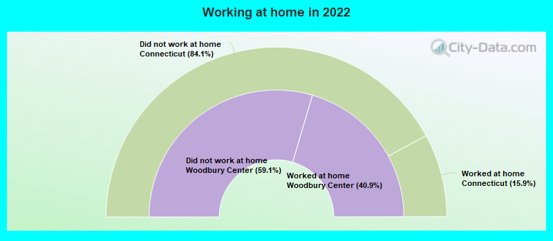 Working at home in 2022