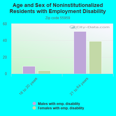 Age and Sex of Noninstitutionalized Residents with Employment Disability