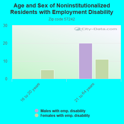 Age and Sex of Noninstitutionalized Residents with Employment Disability