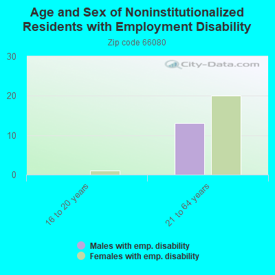 Age and Sex of Noninstitutionalized Residents with Employment Disability