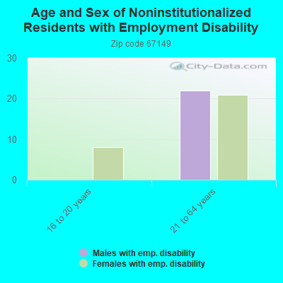 Age and Sex of Noninstitutionalized Residents with Employment Disability