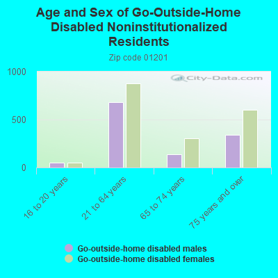 Age and Sex of Go-Outside-Home Disabled Noninstitutionalized Residents