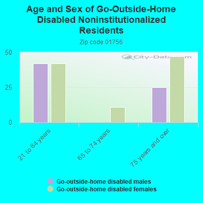 Age and Sex of Go-Outside-Home Disabled Noninstitutionalized Residents