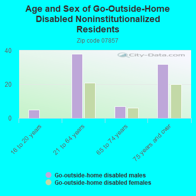 Age and Sex of Go-Outside-Home Disabled Noninstitutionalized Residents