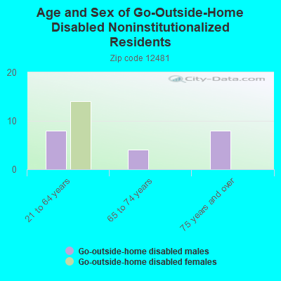 Age and Sex of Go-Outside-Home Disabled Noninstitutionalized Residents