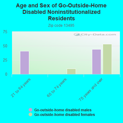 Age and Sex of Go-Outside-Home Disabled Noninstitutionalized Residents