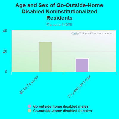 Age and Sex of Go-Outside-Home Disabled Noninstitutionalized Residents