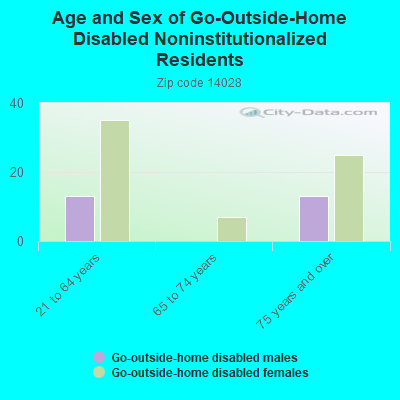 Age and Sex of Go-Outside-Home Disabled Noninstitutionalized Residents