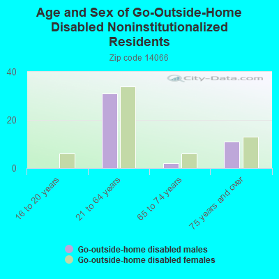 Age and Sex of Go-Outside-Home Disabled Noninstitutionalized Residents