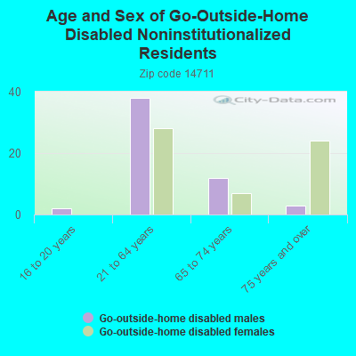 Age and Sex of Go-Outside-Home Disabled Noninstitutionalized Residents