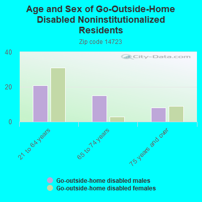 Age and Sex of Go-Outside-Home Disabled Noninstitutionalized Residents