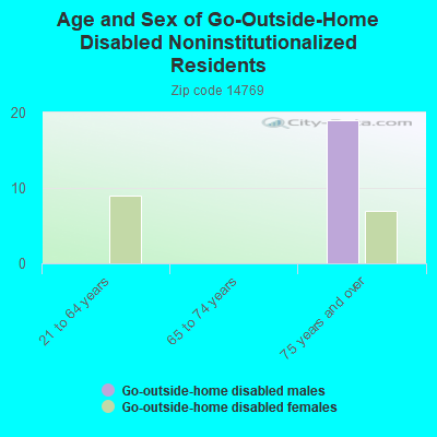 Age and Sex of Go-Outside-Home Disabled Noninstitutionalized Residents