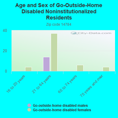 Age and Sex of Go-Outside-Home Disabled Noninstitutionalized Residents