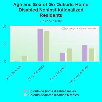 Age and Sex of Go-Outside-Home Disabled Noninstitutionalized Residents