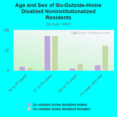 Age and Sex of Go-Outside-Home Disabled Noninstitutionalized Residents