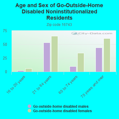 Age and Sex of Go-Outside-Home Disabled Noninstitutionalized Residents