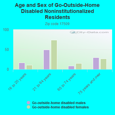 Age and Sex of Go-Outside-Home Disabled Noninstitutionalized Residents