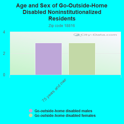 Age and Sex of Go-Outside-Home Disabled Noninstitutionalized Residents