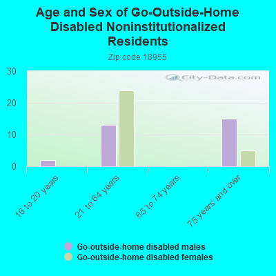 Age and Sex of Go-Outside-Home Disabled Noninstitutionalized Residents