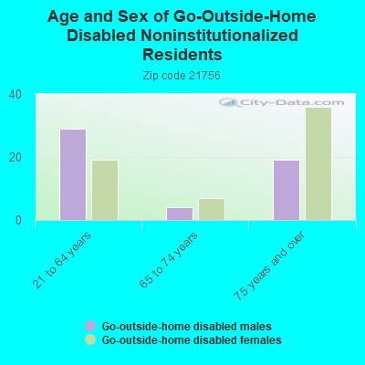 Age and Sex of Go-Outside-Home Disabled Noninstitutionalized Residents