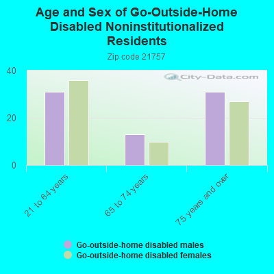 Age and Sex of Go-Outside-Home Disabled Noninstitutionalized Residents