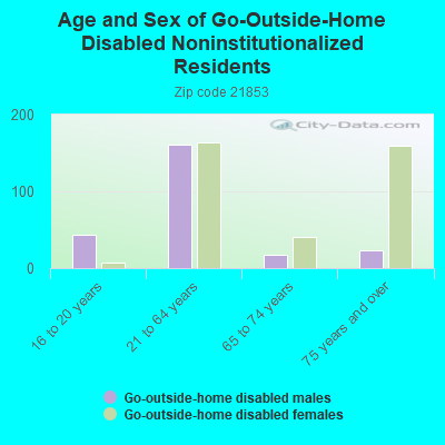 Age and Sex of Go-Outside-Home Disabled Noninstitutionalized Residents