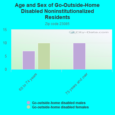 Age and Sex of Go-Outside-Home Disabled Noninstitutionalized Residents