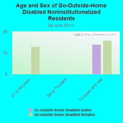 Age and Sex of Go-Outside-Home Disabled Noninstitutionalized Residents