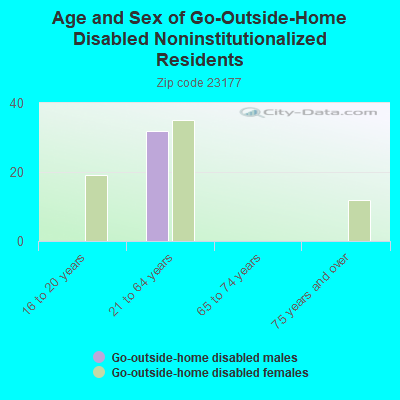 Age and Sex of Go-Outside-Home Disabled Noninstitutionalized Residents