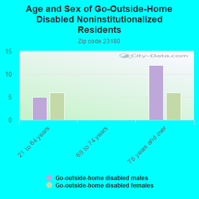 Age and Sex of Go-Outside-Home Disabled Noninstitutionalized Residents