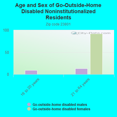 Age and Sex of Go-Outside-Home Disabled Noninstitutionalized Residents