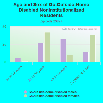 Age and Sex of Go-Outside-Home Disabled Noninstitutionalized Residents