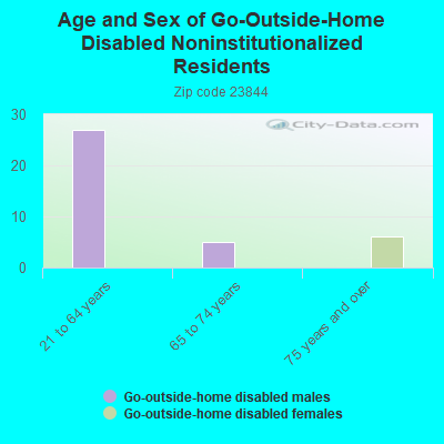 Age and Sex of Go-Outside-Home Disabled Noninstitutionalized Residents