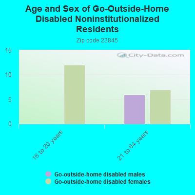 Age and Sex of Go-Outside-Home Disabled Noninstitutionalized Residents