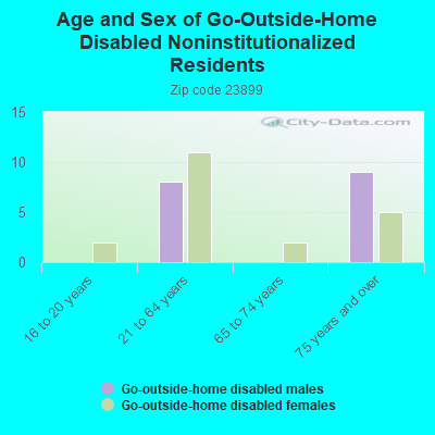 Age and Sex of Go-Outside-Home Disabled Noninstitutionalized Residents