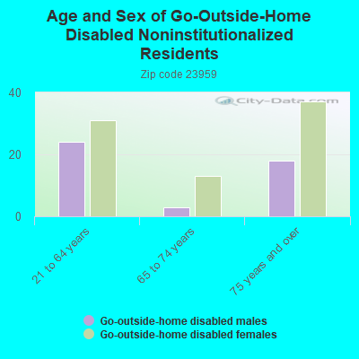 Age and Sex of Go-Outside-Home Disabled Noninstitutionalized Residents