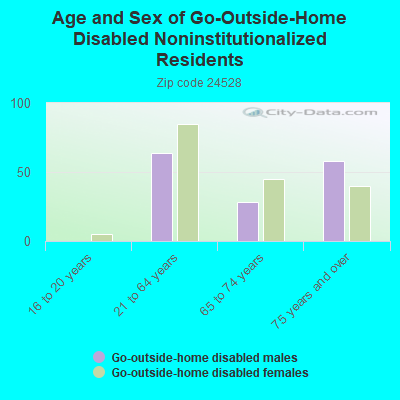 Age and Sex of Go-Outside-Home Disabled Noninstitutionalized Residents