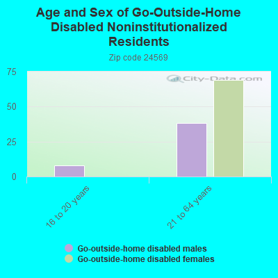 Age and Sex of Go-Outside-Home Disabled Noninstitutionalized Residents