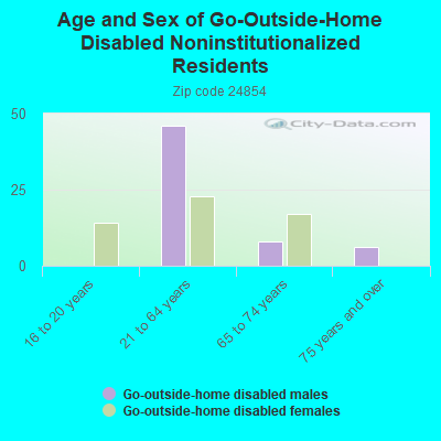 Age and Sex of Go-Outside-Home Disabled Noninstitutionalized Residents