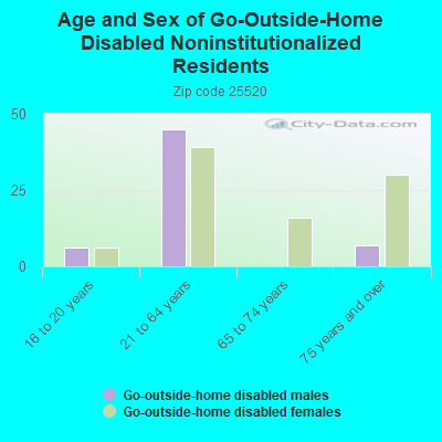 Age and Sex of Go-Outside-Home Disabled Noninstitutionalized Residents