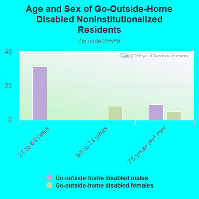 Age and Sex of Go-Outside-Home Disabled Noninstitutionalized Residents