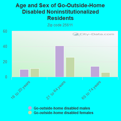 Age and Sex of Go-Outside-Home Disabled Noninstitutionalized Residents